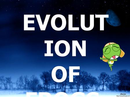 EVOLUTION OF FROGS..