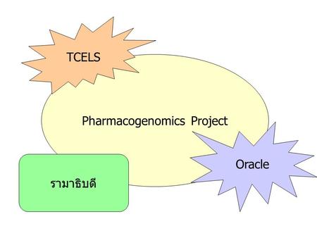 Pharmacogenomics Project TCELS Oracle รามาธิบดี. Oracle HTB ทำหน้าที่เป็น Data Repository จัดสรร Service Infrastructure ต่างๆ เพื่อนำไปพัฒนาใช้ใน ระบบโรงพยาบาล.