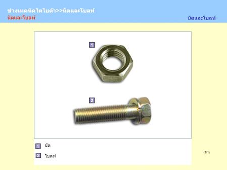 ช่างเทคนิคโตโยต้า>>นัตและโบลท์