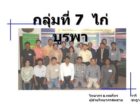 กลุ่มที่ 7 ไก่บูรพา วิทยากร อ.พลภัทร	วารี ผู้ช่วยวิทยากรสมชาย	ชะฎาดำ.