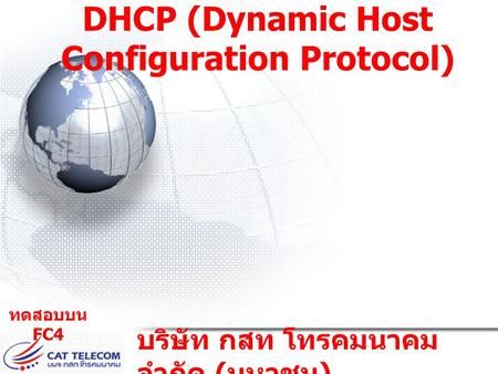 DHCP (Dynamic Host Configuration Protocol)