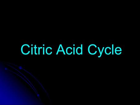 Citric Acid Cycle.
