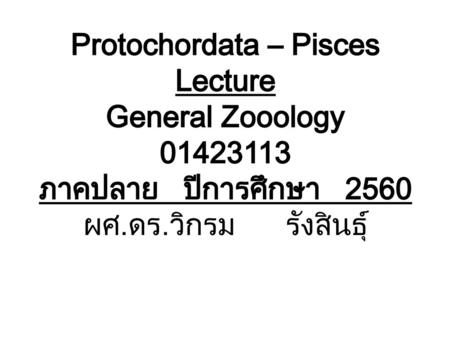 Protochordata – Pisces Lecture General Zooology 01423113 ภาคปลาย ปีการศึกษา 2560 ผศ.ดร.วิกรม รังสินธุ์