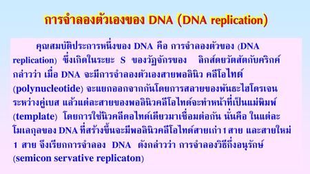 การจำลองตัวเองของ DNA (DNA replication)
