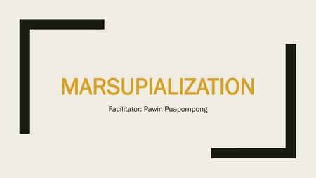 Facilitator: Pawin Puapornpong
