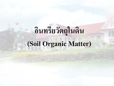 อินทรียวัตถุในดิน (Soil Organic Matter).