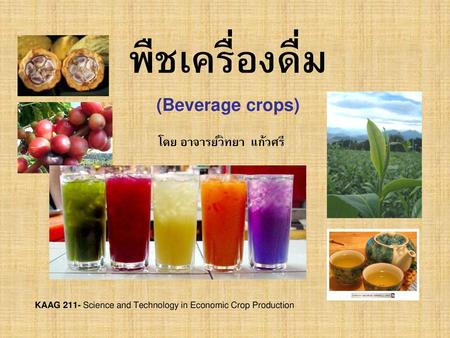 พืชเครื่องดื่ม (Beverage crops)