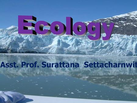 Asst. Prof. Surattana Settacharnwit