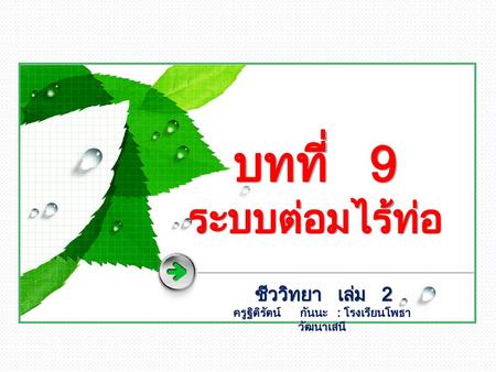 ครูฐิติรัตน์ กันนะ : โรงเรียนโพธาวัฒนาเสนี