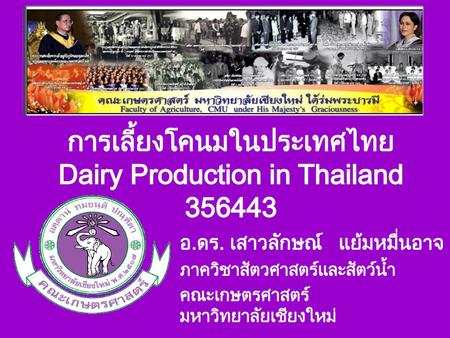 การเลี้ยงโคนมในประเทศไทย Dairy Production in Thailand