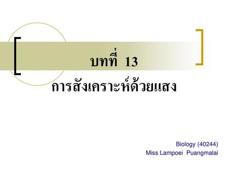 บทที่ 13 การสังเคราะห์ด้วยแสง