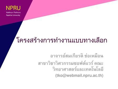 โครงสร้างการทำงานแบบทางเลือก