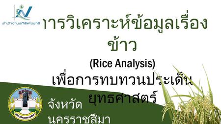 การวิเคราะห์ข้อมูลเรื่องข้าว