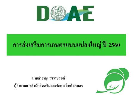 การส่งเสริมการเกษตรแบบแปลงใหญ่ ปี 2560