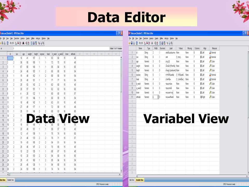Data Editor Data View Variabel View