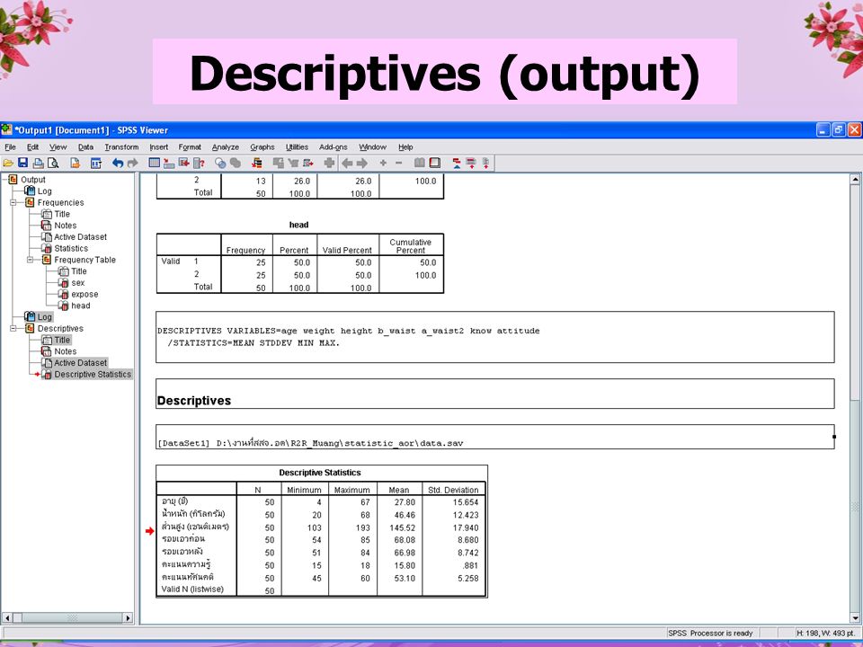 Descriptives (output)