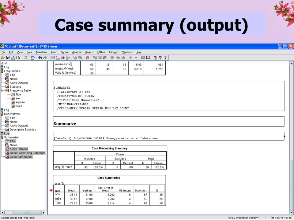 Case summary (output)