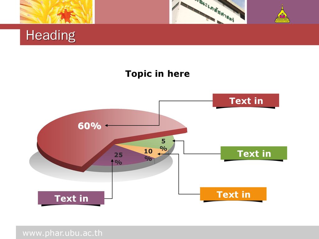 Heading Topic in here Text in here 60% 70% Text in here Text in here