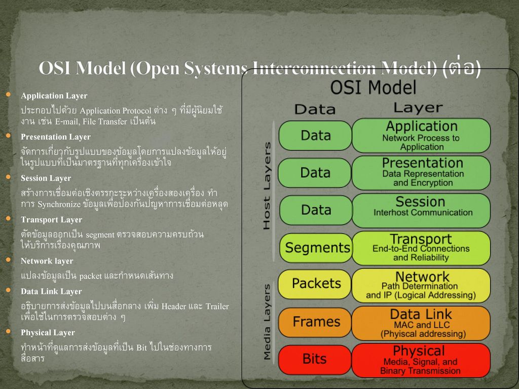 OSI Model (Open Systems Interconnection Model) (ต่อ)