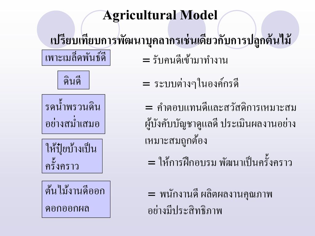 Agricultural Model เปรียบเทียบการพัฒนาบุคลากรเช่นเดียวกับการปลูกต้นไม้