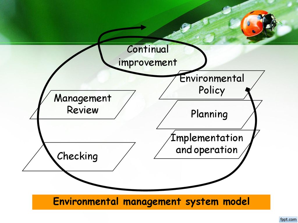 Environmental management system model