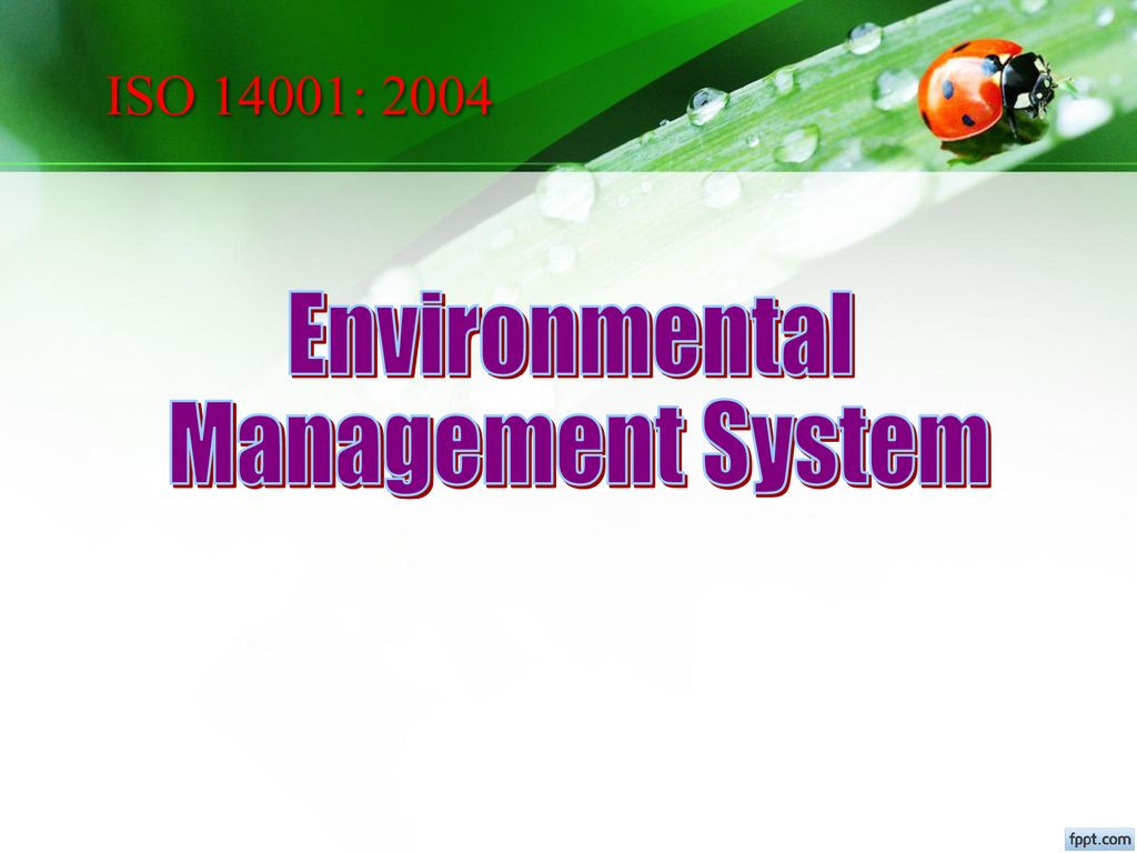 ISO 14001: 2004 Environmental Management System