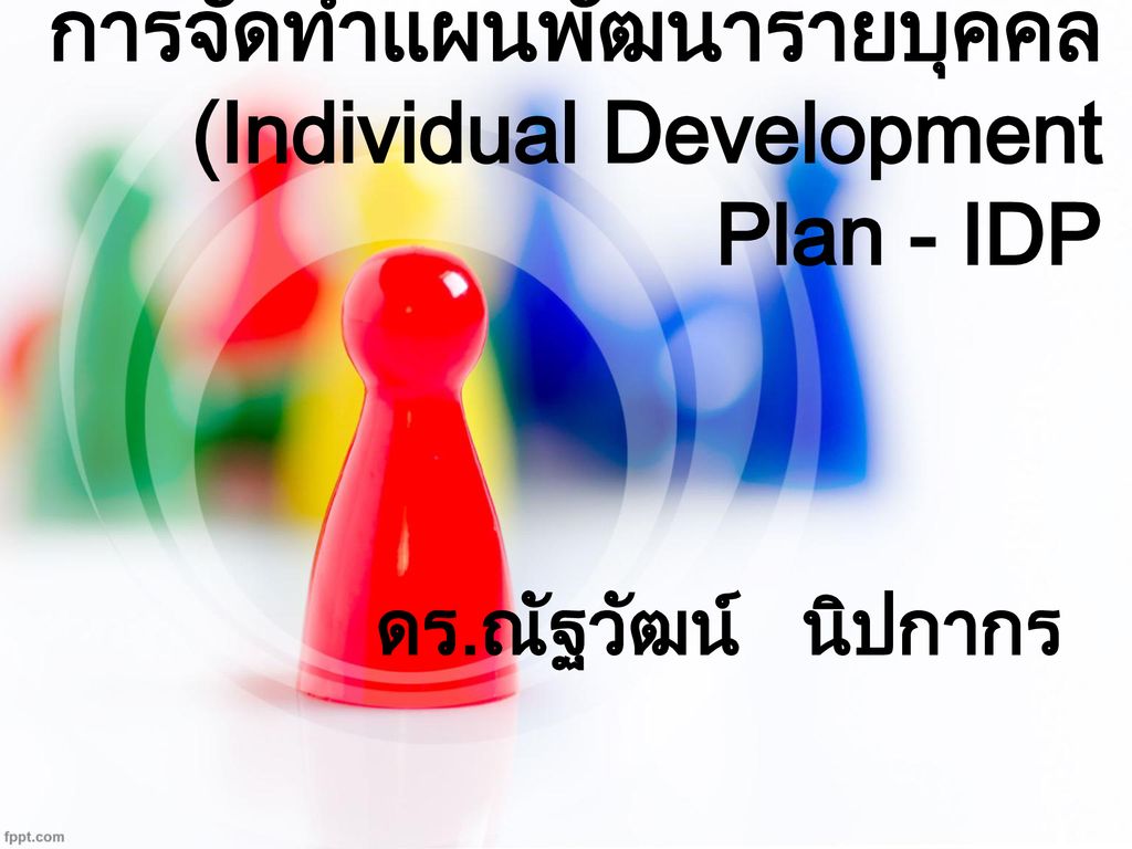 การจัดทำแผนพัฒนารายบุคคล (Individual Development Plan - IDP