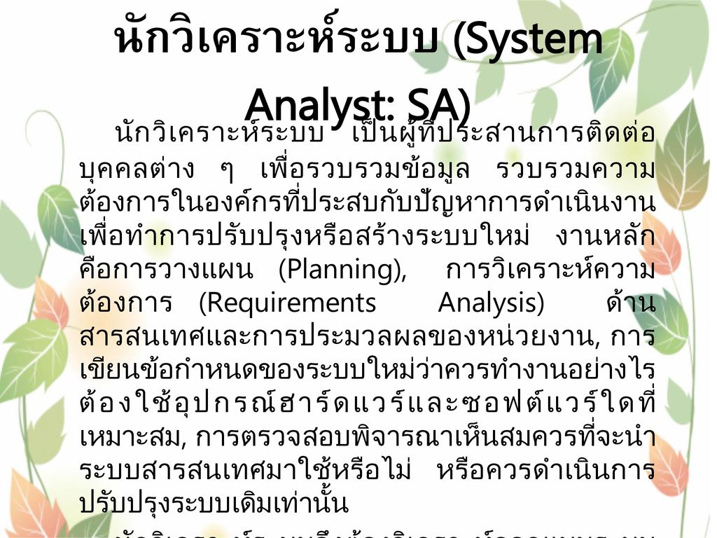 นักวิเคราะห์ระบบ (System Analyst: SA)