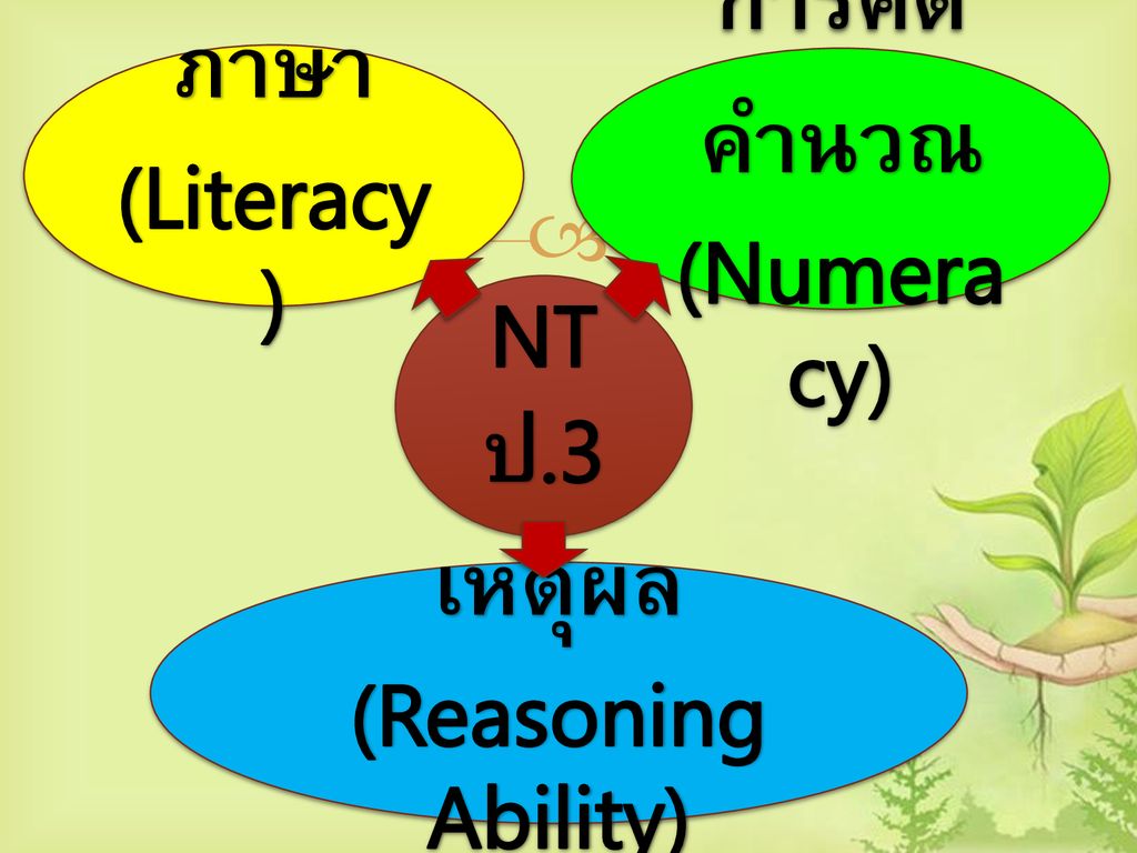 ภาษา (Literacy) การคิดคำนวณ (Numeracy) NT ป.3 เหตุผล (Reasoning Ability)