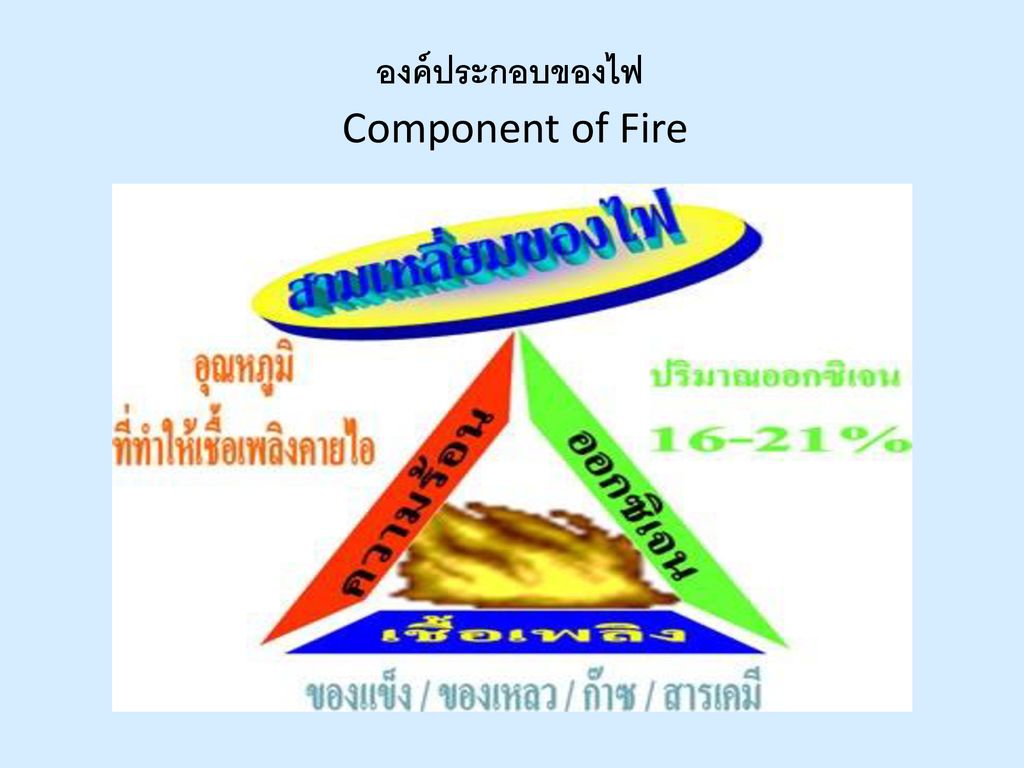 องค์ประกอบของไฟ Component of Fire