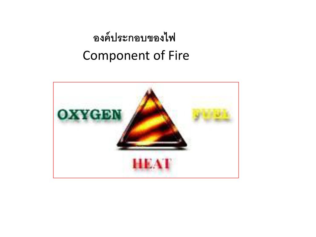องค์ประกอบของไฟ Component of Fire