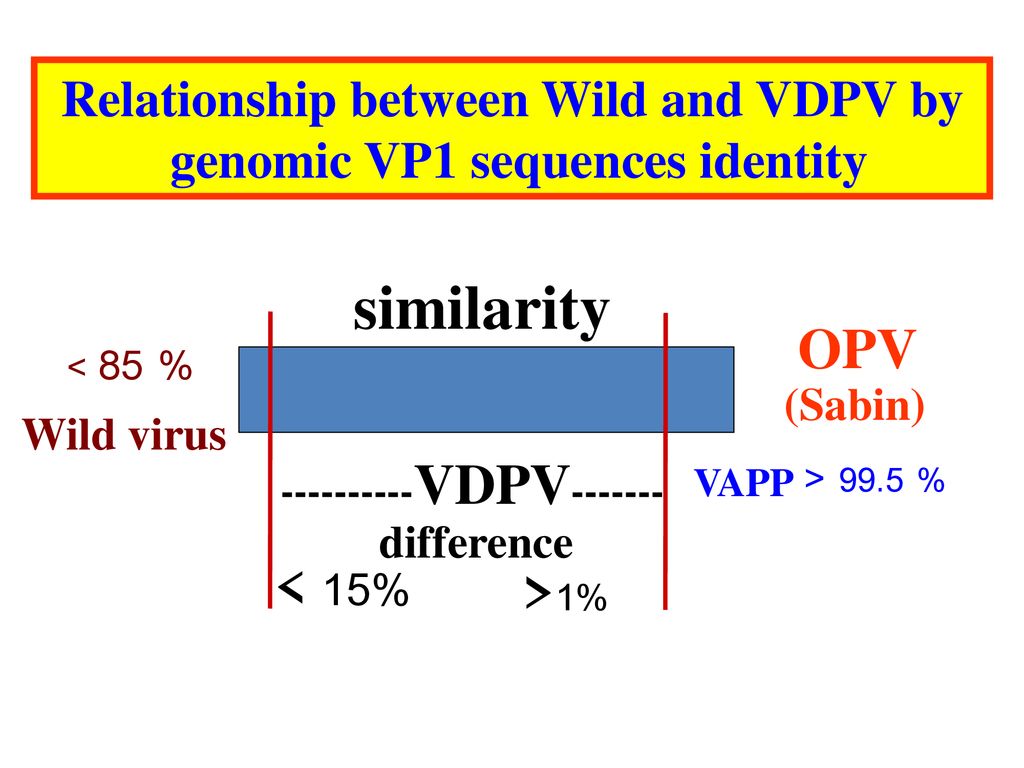 Relationship between Wild and VDPV by genomic VP1 sequences identity