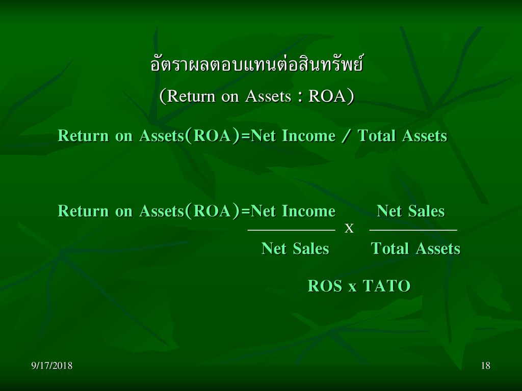 อัตราผลตอบแทนต่อสินทรัพย์ (Return on Assets : ROA)