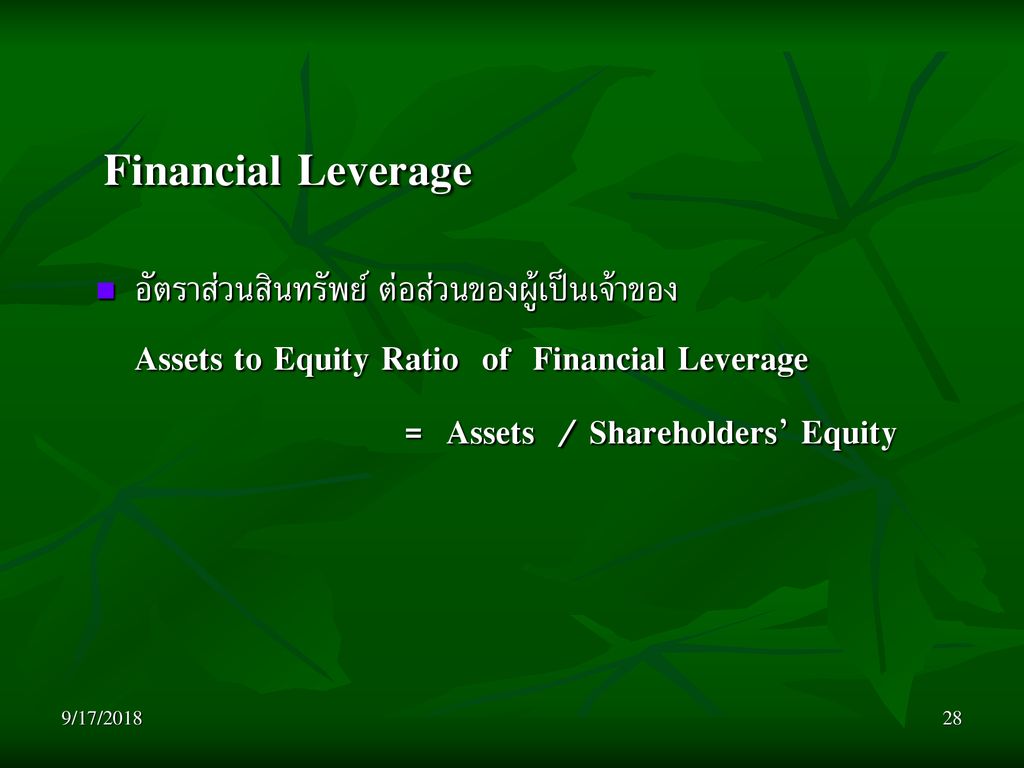 Financial Leverage = Assets / Shareholders’ Equity