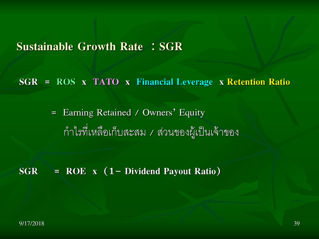 Sustainable Growth Rate : SGR