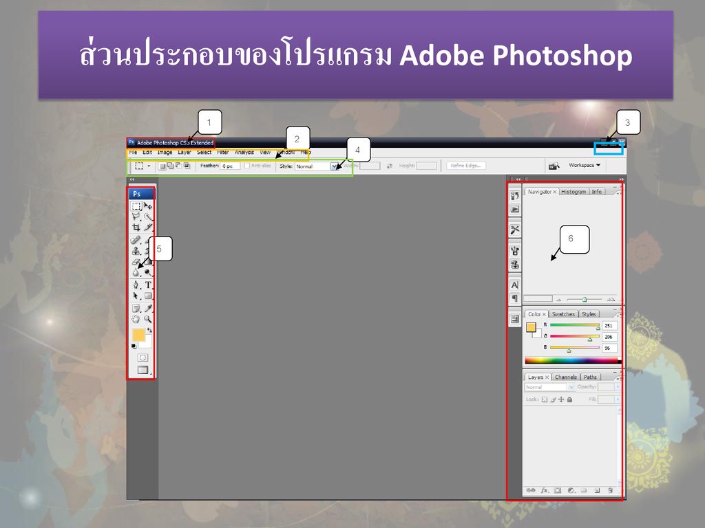 ส่วนประกอบของโปรแกรม Adobe Photoshop