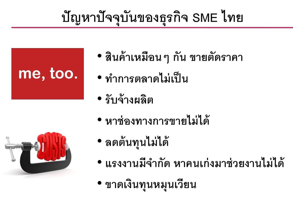 ปัญหาปัจจุบันของธุรกิจ SME ไทย