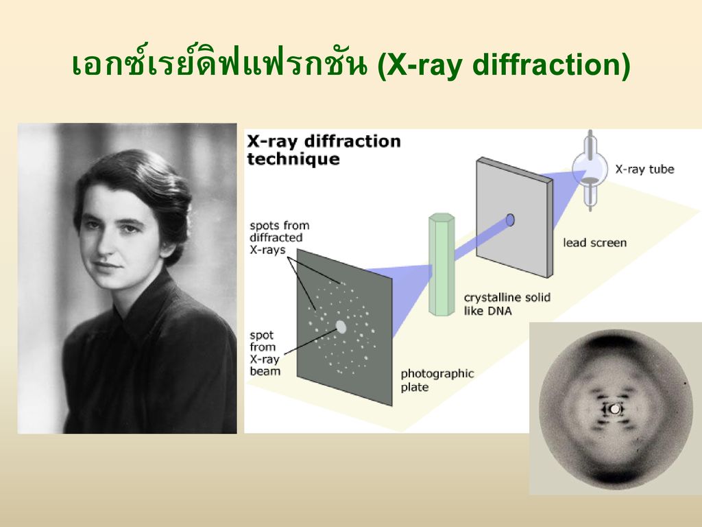 เอกซ์เรย์ดิฟแฟรกชัน (X-ray diffraction)