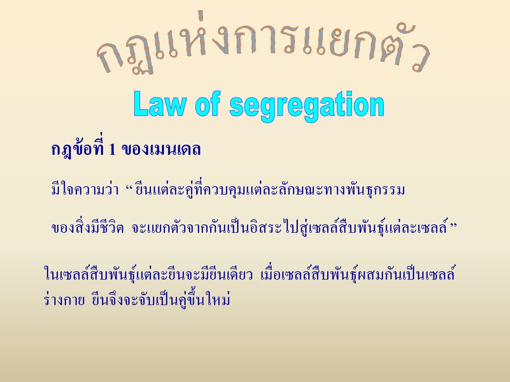 กฏแห่งการแยกตัว Law of segregation. กฎข้อที่ 1 ของเมนเดล. มีใจความว่า ยีนแต่ละคู่ที่ควบคุมแต่ละลักษณะทางพันธุกรรม.