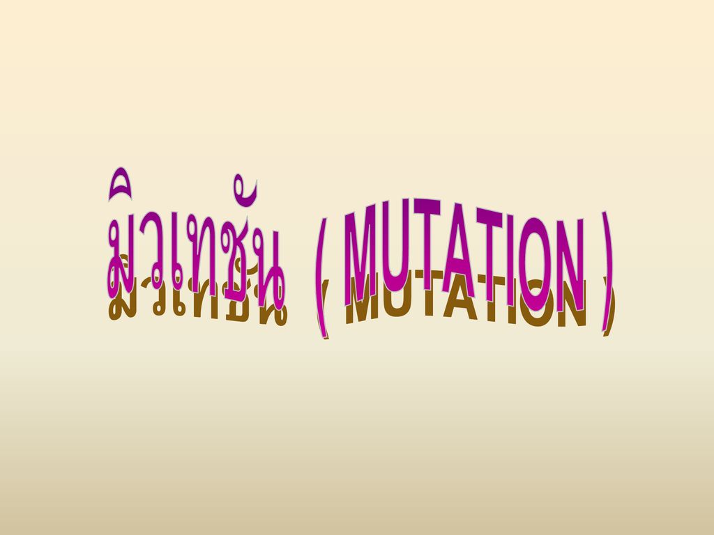 มิวเทชัน ( MUTATION )