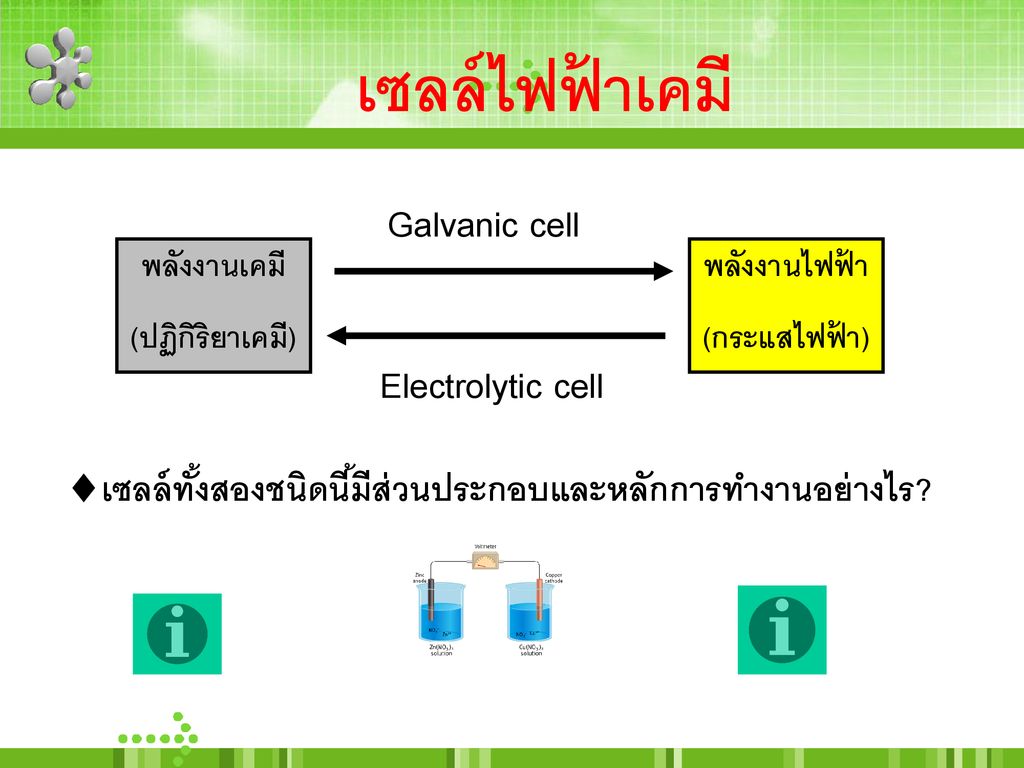 เซลล์ไฟฟ้าเคมี Galvanic cell Electrolytic cell