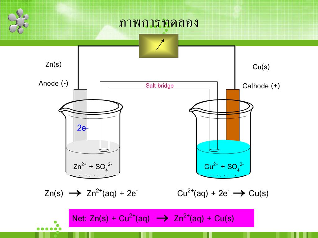 ภาพการทดลอง 2e- Zn(s)  Zn2+(aq) + 2e- Cu2+(aq) + 2e-  Cu(s)