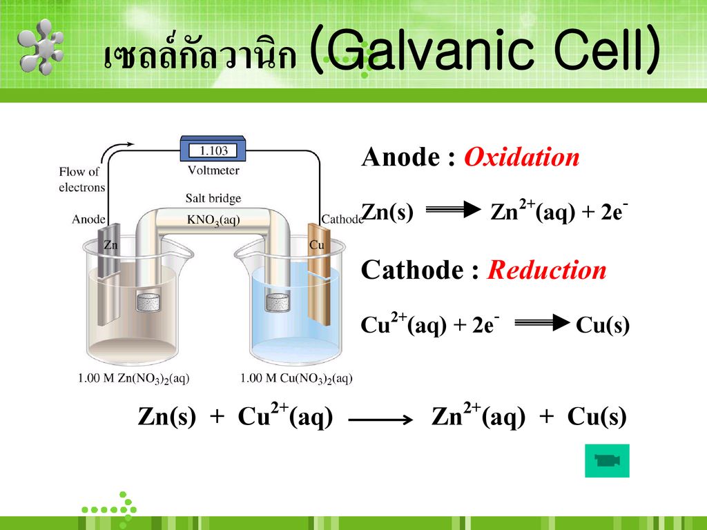 เซลล์กัลวานิก (Galvanic Cell)