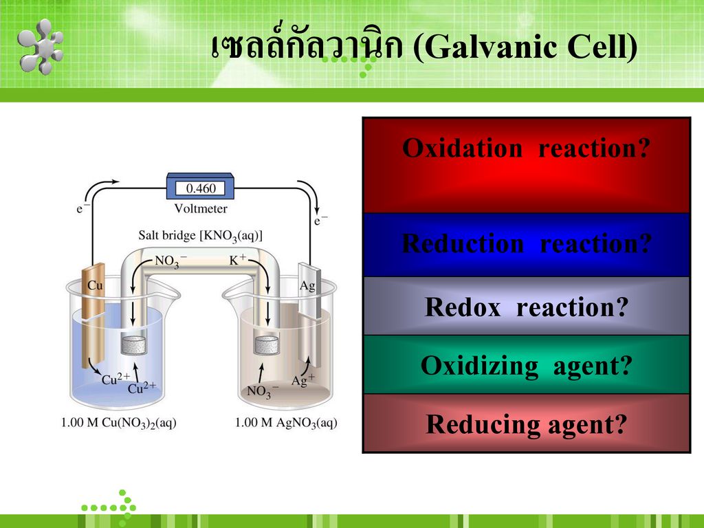 เซลล์กัลวานิก (Galvanic Cell)