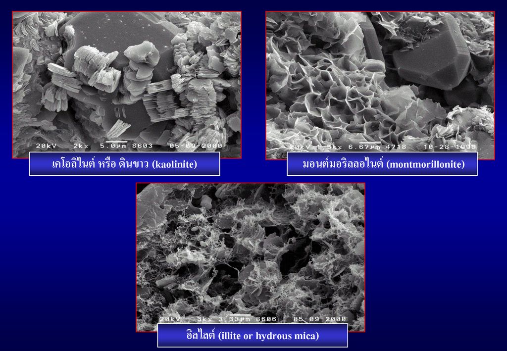เคโอลิไนต์ หรือ ดินขาว (kaolinite) มอนต์มอริลลอไนต์ (montmorillonite)