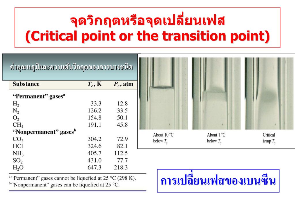 จุดวิกฤตหรือจุดเปลี่ยนเฟส (Critical point or the transition point)