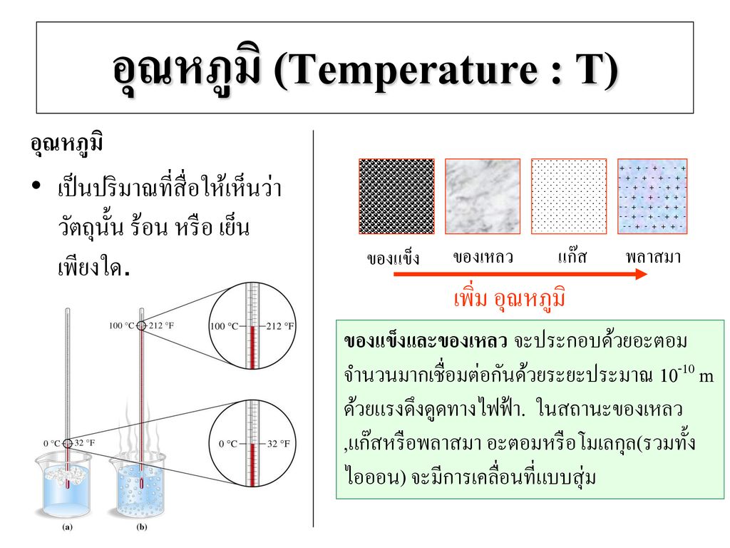 อุณหภูมิ (Temperature : T)