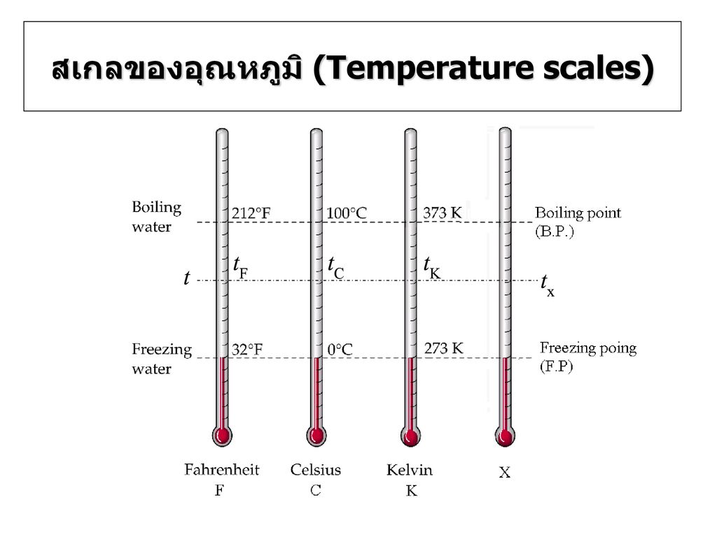 สเกลของอุณหภูมิ (Temperature scales)
