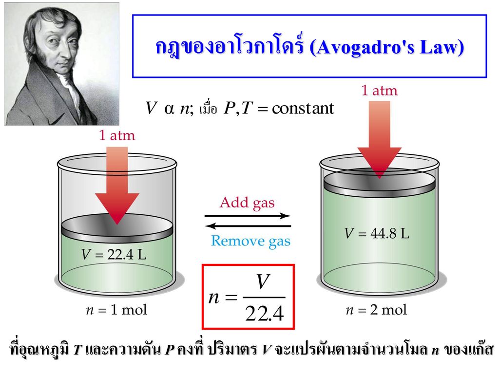 กฎของอาโวกาโดร์ (Avogadro s Law)