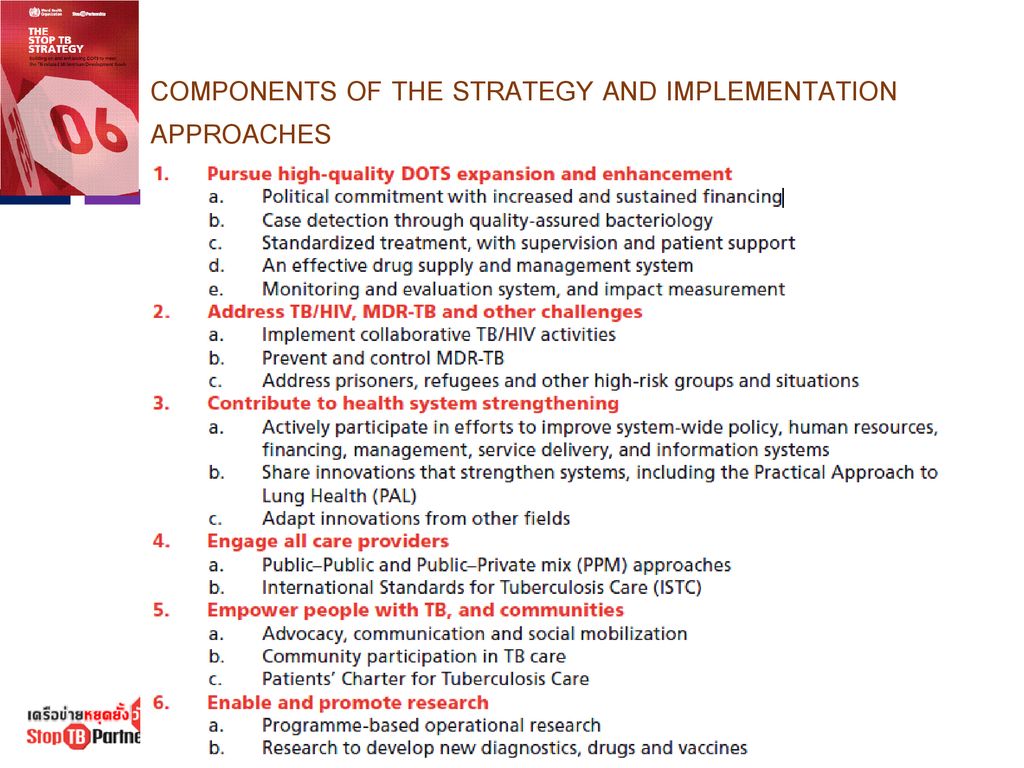 COMPONENTS OF THE STRATEGY AND IMPLEMENTATION APPROACHES